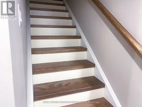 Milton (Cb Cobban) apartment for rent - A set of stairs with wooden steps and a white riser.