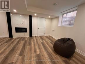 London South (South W) apartment for rent - A room with a fireplace and a bean bag chair.