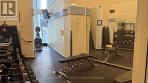 Toronto (Waterfront Communities) condo for rent - A gym with a variety of equipment including weights and cardio machines.