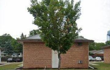 North Saint Paul apartment for rent - A small brown house with a tree in front.