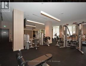 Mississauga (Hurontario) condo for rent - A gym with a variety of equipment including a squat rack, bench press, and a rowing machine.