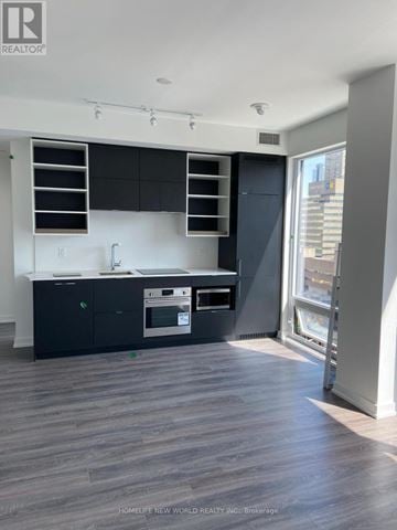 Toronto (Bay Street Corridor) condo for rent - A modern kitchen with black cabinets and a wooden floor.
