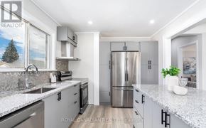 Hamilton (Hill Park) apartment for rent - A modern kitchen with stainless steel appliances and a marble countertop.