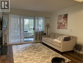Coquitlam apartment for rent - A dog is sitting on a rug in a living room with a couch and a lamp.