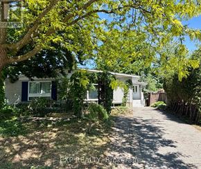 Ottawa apartment for rent - A tree with yellow leaves is in front of a house.