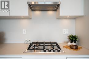 Burnaby apartment for rent - A modern kitchen with a stove top and a plant on the counter.