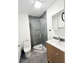 Surrey apartment for rent - A bathroom with a toilet, sink, and shower.