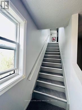 New Tecumseth (Alliston) multi-family for rent - A staircase with a metal railing and steps leading up to a door.