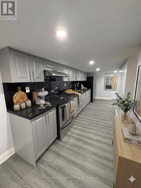 London North (North N) apartment for rent - A modern kitchen with grey cabinets and black countertops.