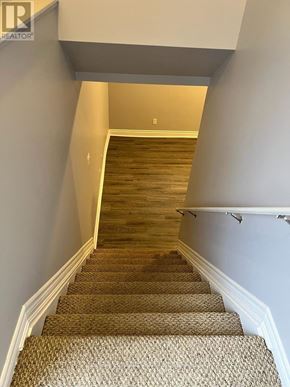 Oshawa (Donevan) apartment for rent - A staircase with a carpeted runner and white trim.