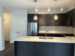 Surrey apartment for rent - A kitchen with a white counter top and black cabinets.