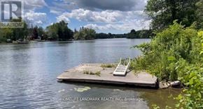 Asphodel-Norwood apartment for rent - A small dock with a white ladder sits in the middle of a lake.