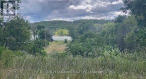 Asphodel-Norwood apartment for rent - A landscape photo of a field with trees and a lake in the distance.