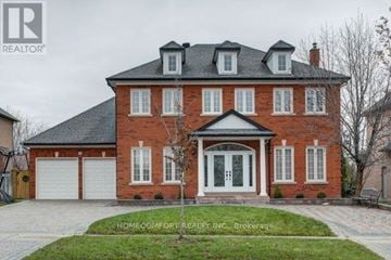 Richmond Hill (Bayview Hill) apartment for rent - BSMT - 122A CLARENDON DRIVE Bsmt