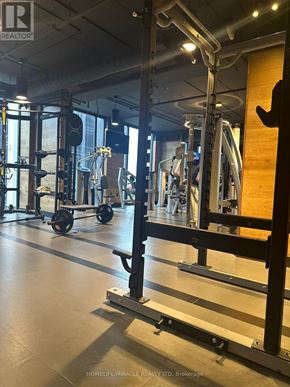 Waterloo condo for rent - A gym with a weight bench and a squat rack.
