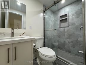 Toronto (Dorset Park) apartment for rent - A bathroom with a toilet, sink, and glass shower stall.