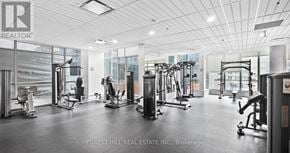 Toronto (Waterfront Communities) condo for rent - A gym with a variety of equipment including treadmills, weights, and exercise machines.