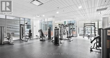 Toronto (Waterfront Communities) condo for rent - A gym with a variety of equipment including treadmills, weights, and exercise machines.