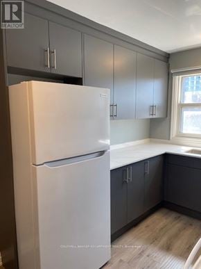 Halton Hills (Georgetown) multi-family for rent - A white fridge in a kitchen with grey cabinets.
