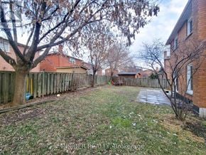 Vaughan (Brownridge) apartment for rent - A backyard with a fence and a tree.