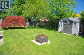 Hamilton apartment for rent - A backyard with a shed and a tree.