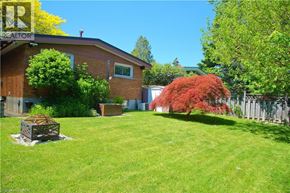 Hamilton apartment for rent - A backyard with a red bush and a wooden crate on the lawn.