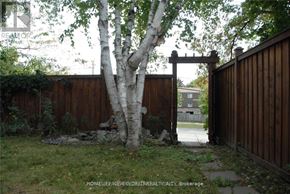 Markham (German Mills) apartment for rent - A birch tree stands in front of a wooden fence.