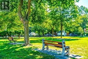 Toronto (Bedford Park-Nortown) apartment for rent - A park bench sits under a tree on a sunny day.