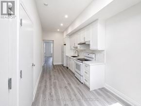 Toronto (Kensington-Chinatown) multi-family for rent - B - 442 SPADINA AVENUE B