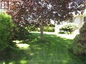 New Tecumseth (Alliston) apartment for rent - A tree in a yard with the words Coldwell Banker Ronan Realty Brokerage on the bottom.