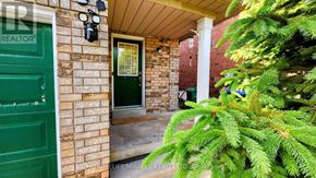Brampton (Fletcher's Meadow) apartment for rent - A green door with a glass window is on a brick wall.