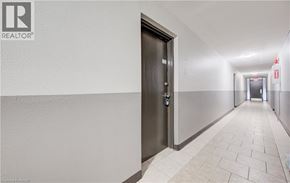 Cambridge apartment for rent - A hallway with a door on the left and another door at the end.