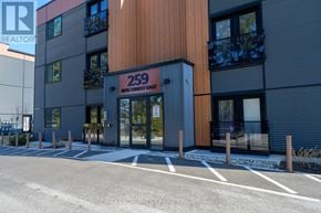 Hamilton (Stoney Creek) condo for rent - The entrance to a building with the number 259 on it.