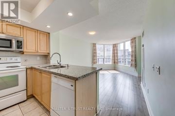 Toronto (Willowdale East) condo for rent - A kitchen with wooden cabinets and a granite countertop.