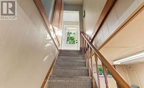 Oshawa (Mclaughlin) apartment for rent - A staircase with a carpeted runner and wooden handrails leads to a bright area with a doorway.