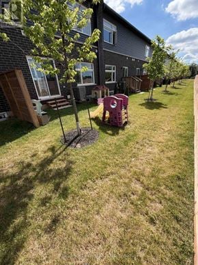 Niagara Falls (Hospital) townhouse for rent - A tree is planted in a yard in front of a house.