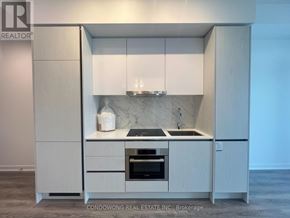 Toronto (Moss Park) condo for rent - A modern kitchen with white cabinets and a marble countertop.