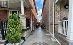 Brampton (Bram East) apartment for rent - A narrow alley with a tree and a trash can.