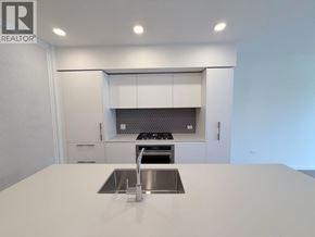 Squamish apartment for rent - A modern kitchen with a white countertop and stainless steel sink.