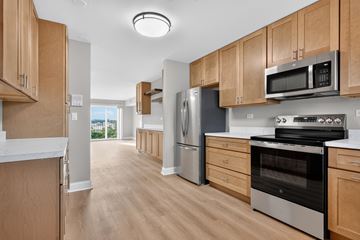 Villa Park apartment for rent - A kitchen with wooden cabinets and stainless steel appliances.