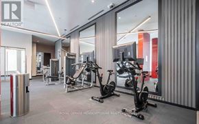 Hamilton (Beasley) condo for rent - A gym with a variety of equipment including treadmills, stationary bikes, and weight machines.