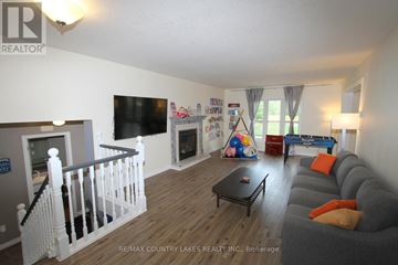 Kawartha Lakes (Carden) apartment for rent - A living room with a grey couch and a television.