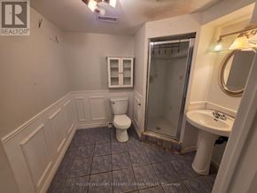 Mississauga (Meadowvale Village) apartment for rent - BSMT - 7009 LESSARD LANE Bsmt