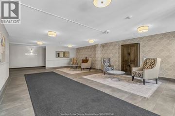 Windsor condo for rent - A spacious living room with a grey rug and patterned wallpaper.