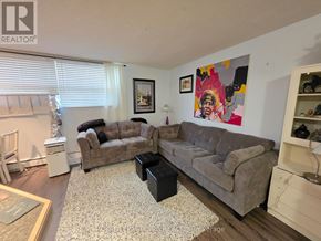 St. Catharines (Oakdale) condo for rent - A living room with two couches and a rug.