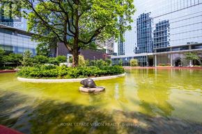Toronto (Waterfront Communities) condo for rent - A tree in a pond with a turtle on a rock.