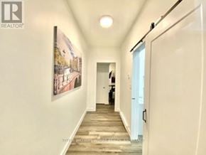 Belleville (Belleville Ward) apartment for rent - A hallway with a painting on the wall and a person standing in the distance.