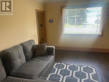 Hamilton (Ainslie Wood) apartment for rent - A living room with a grey couch and a patterned rug.