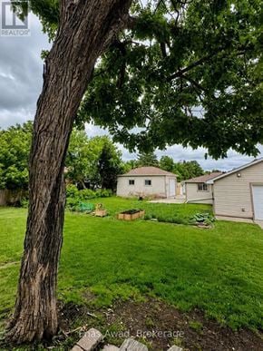 Mississippi Mills townhouse for rent - A tree in a yard with a house in the background.