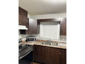 Surrey apartment for rent - A kitchen with a stove, microwave, and sink.